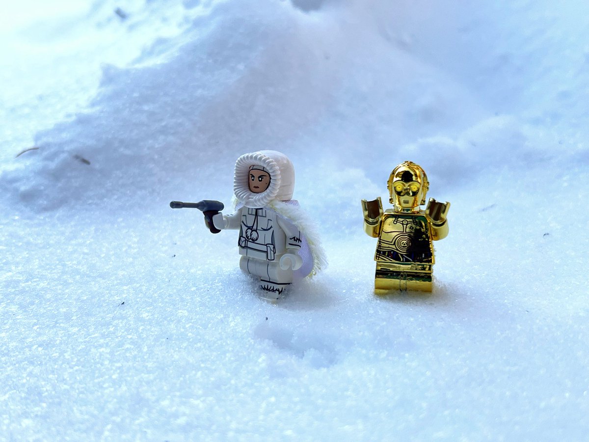 Ross Fallon tweet media