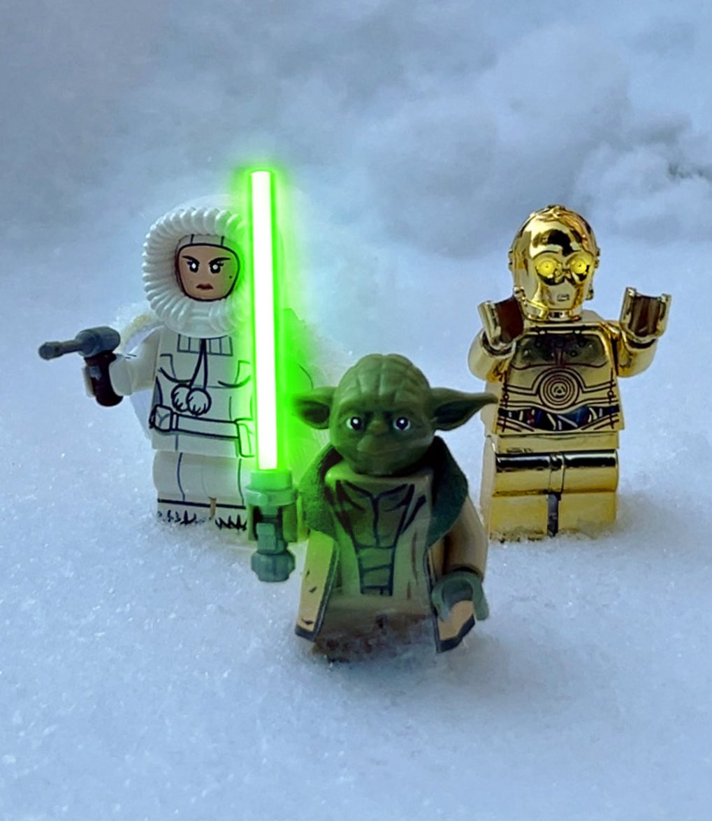 Ross Fallon tweet media