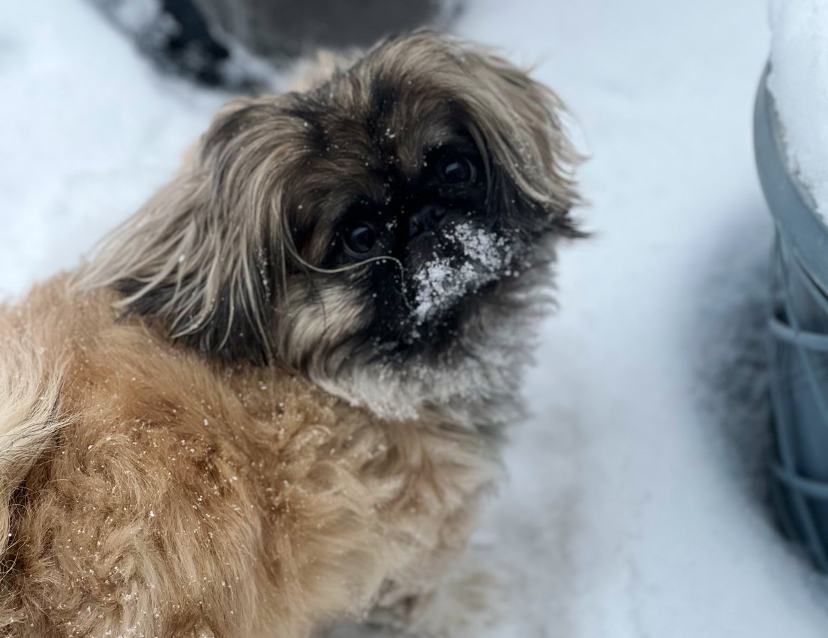 Ross Fallon tweet media