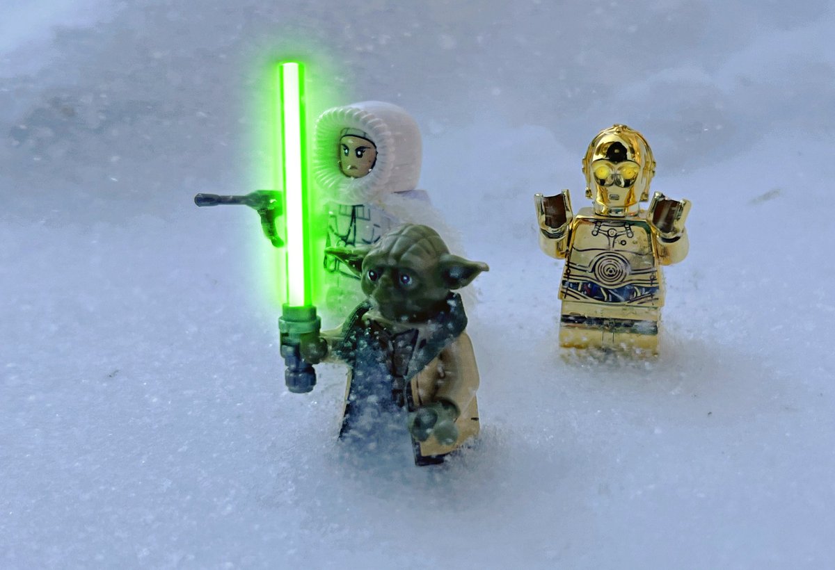 Ross Fallon tweet media