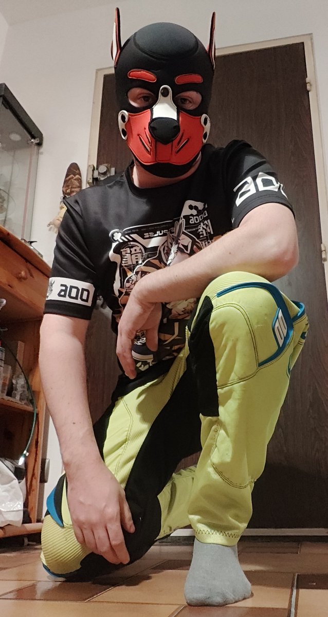 Wolfgard Wolfgard (@GoalieWolfgard) / Posts / X