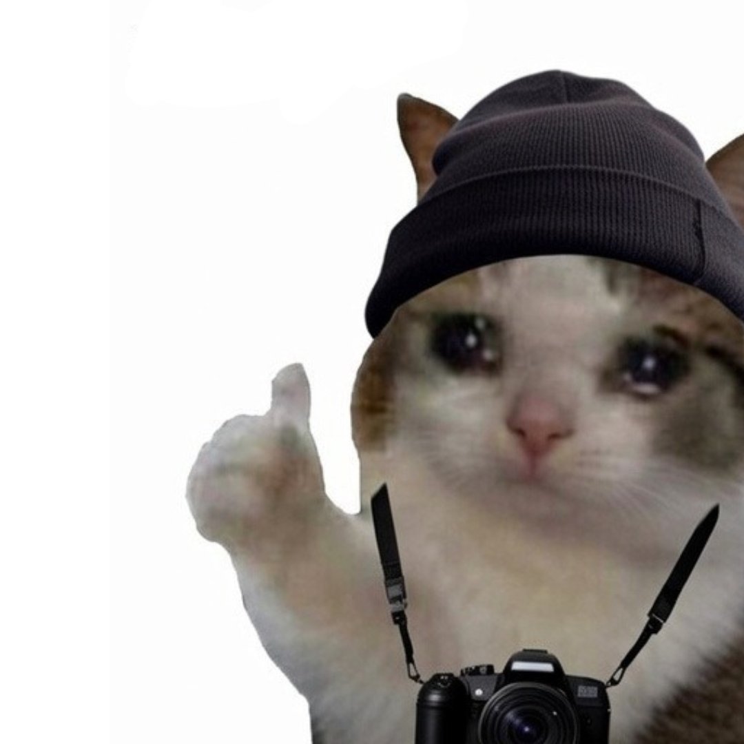 onchain killah 🆗 tweet media