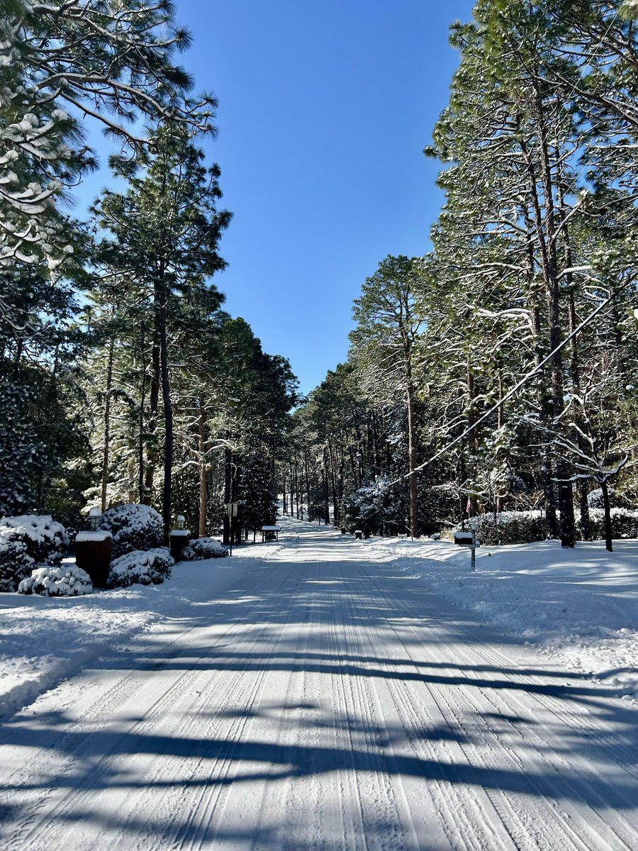 brett sullivan tweet media