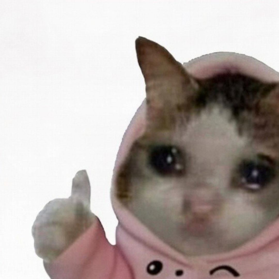 onchain killah 🆗 tweet media