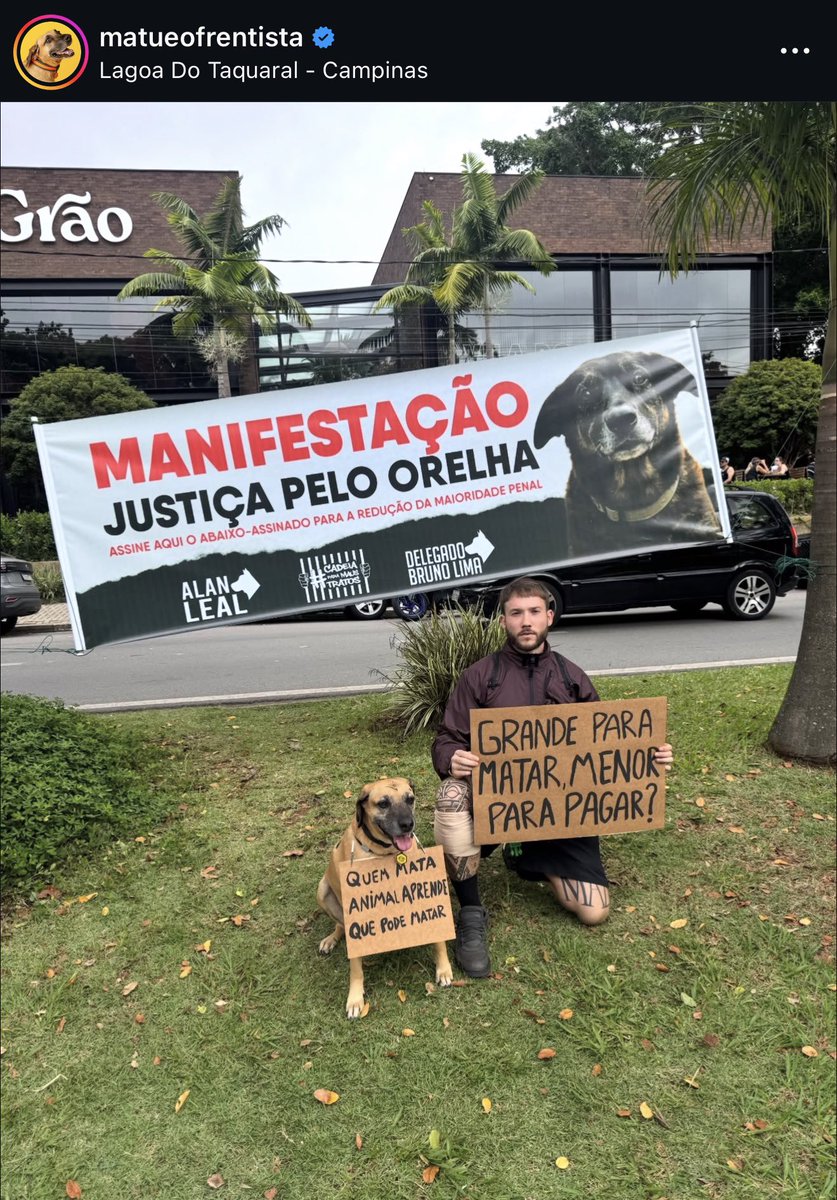 Amandinha 🇧🇷🚩 tweet media