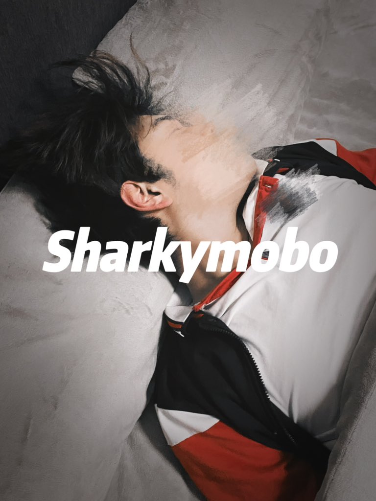 Sharkymobo tweet media