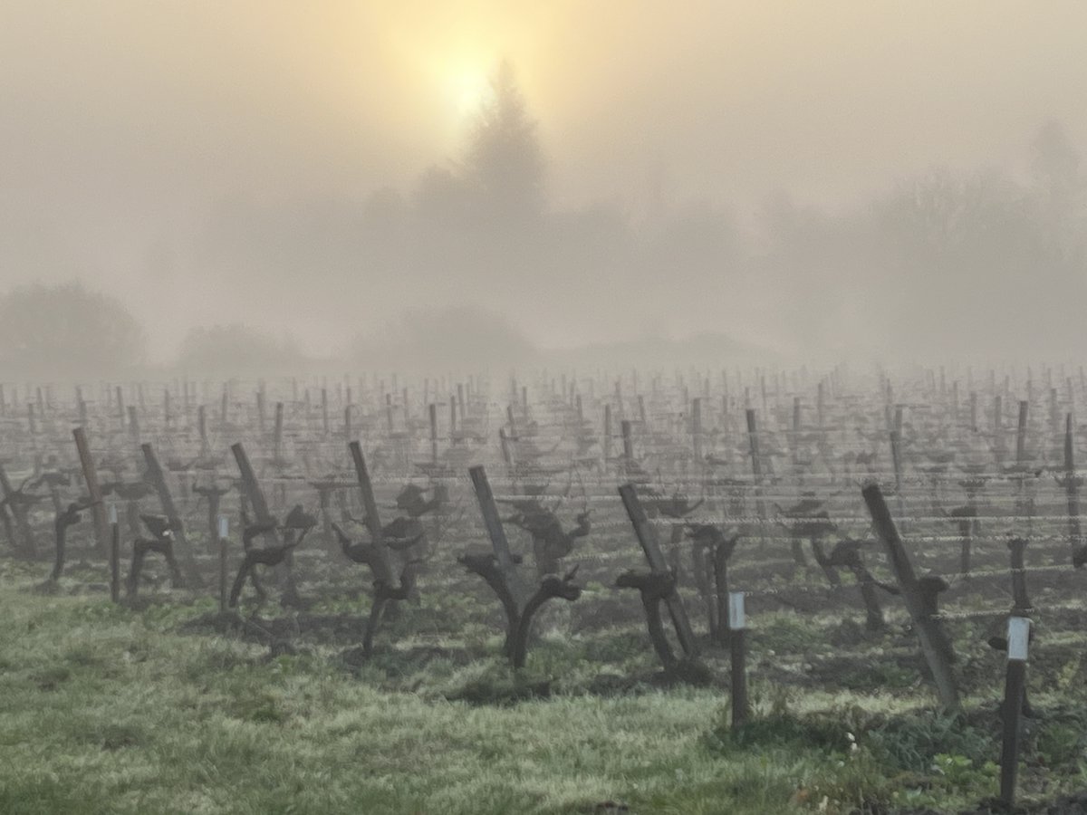 Chateau la Levrette tweet media