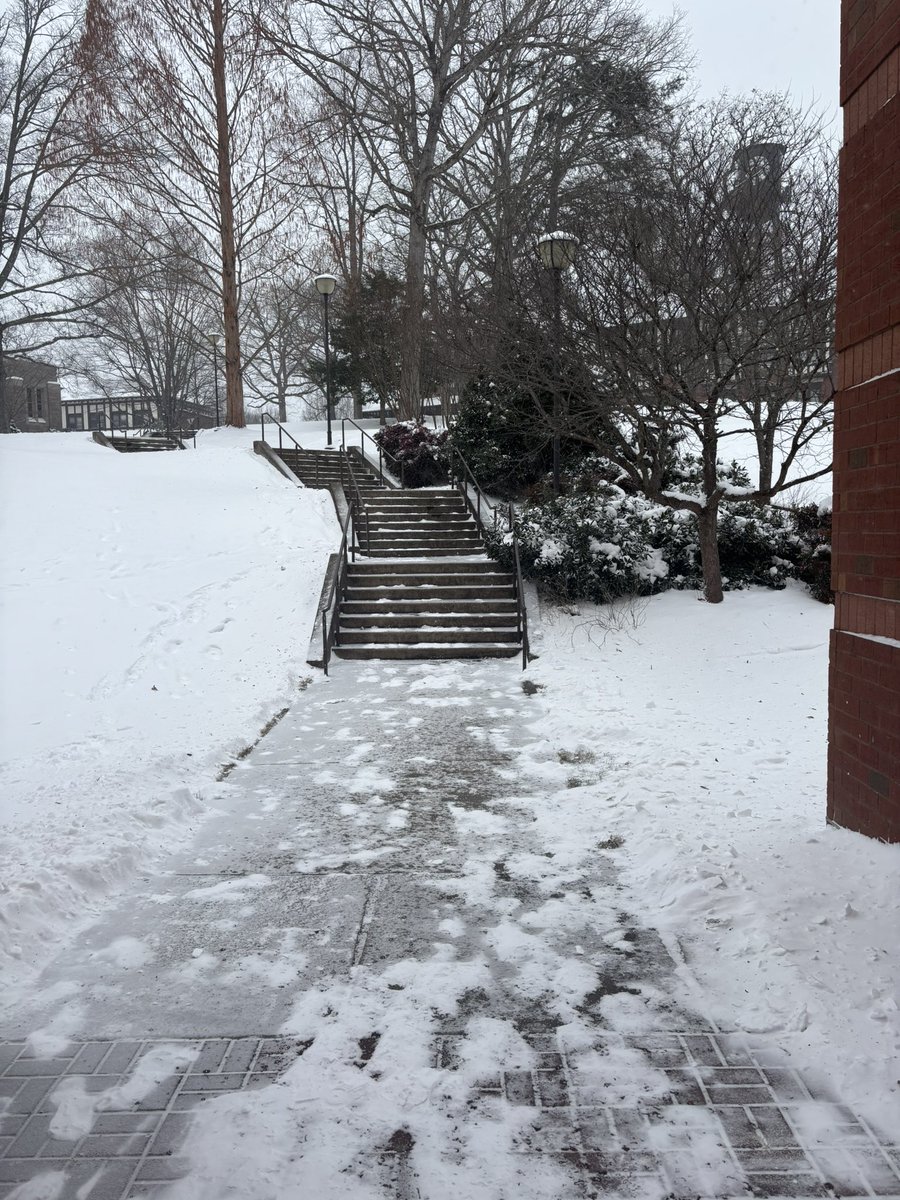 Marvyn "Lizzar" Larozar 🌟 tweet media