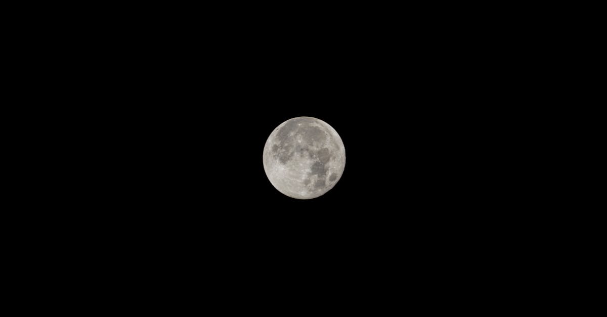 kenmlmpro's tweet photo. There’s something about the first day of a new month that just feels like a fresh playlist. February vibes are on, and that full moon tonight is all the signal I need for a little reboot. Here’s to stepping into the next chapter! https://t.co/TbzZPOfF1i