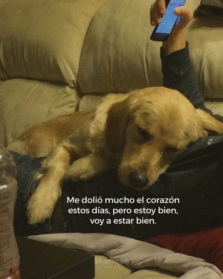 BANDIDOS (@bandidosfrasess) on Twitter photo 