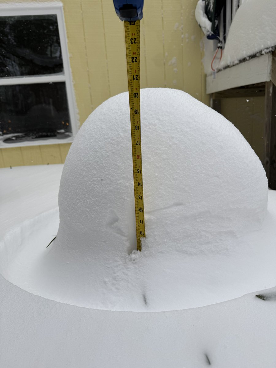 Todd McLean tweet media