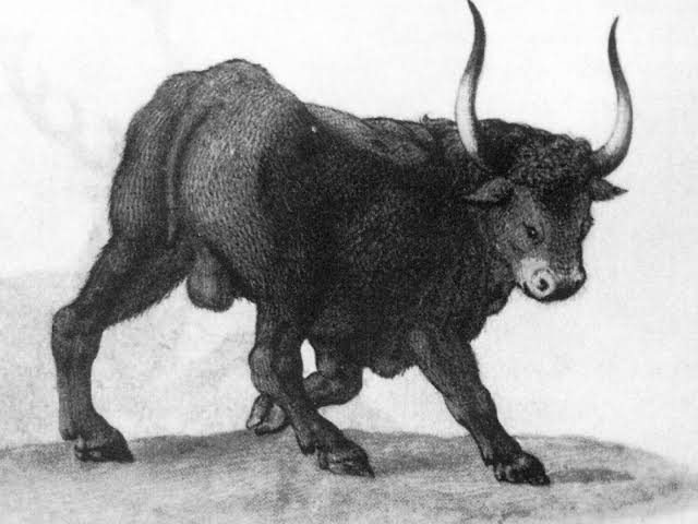 King of the Marsh tweet media