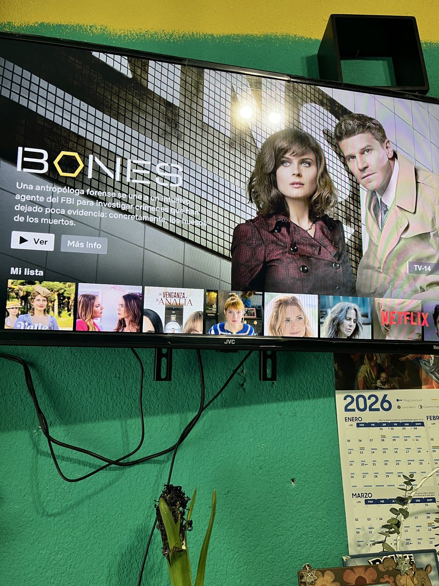 _Tryni's tweet photo. Espere esto toda mi vida jajaja en @netflix ya está #Bones https://t.co/PB6qkBnTPa