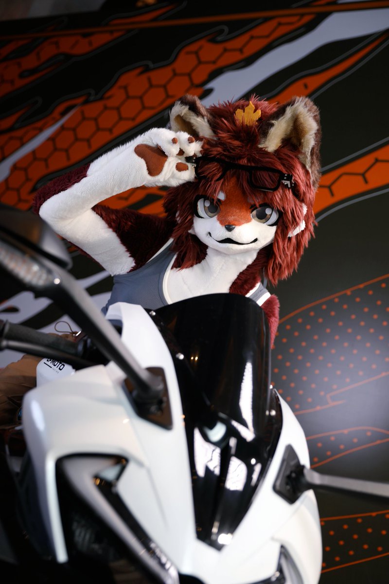 祈橘 ききつ🍁🦊➡️JMOF2026 tweet media