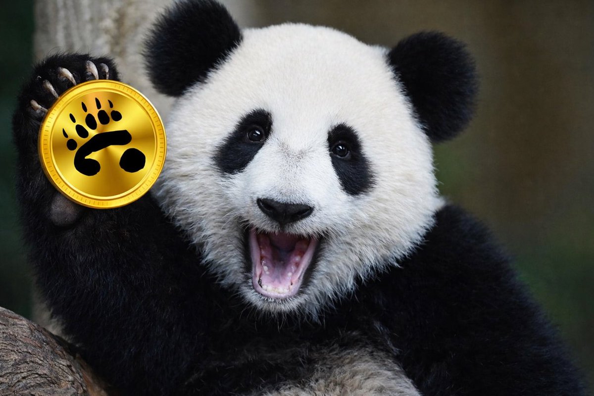 PandaCoin tweet media