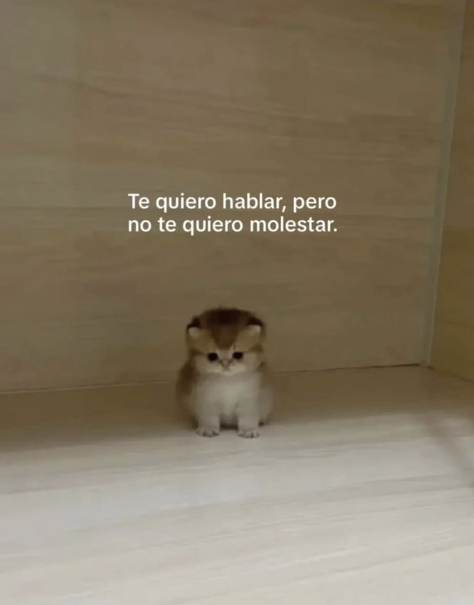 BANDIDOS (@bandidosfrasess) on Twitter photo 