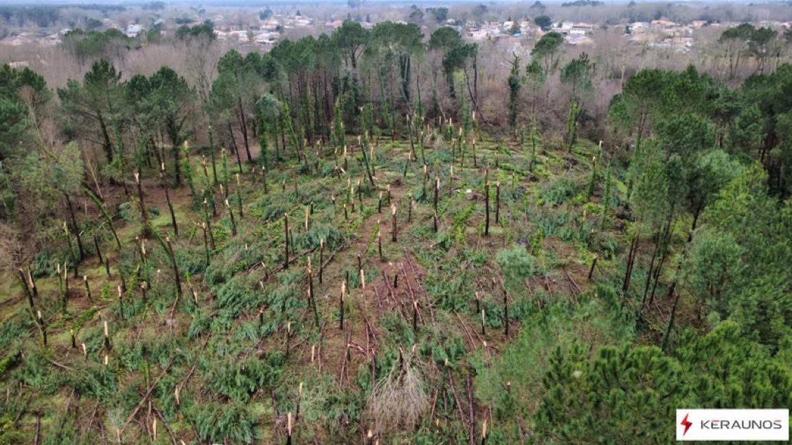 VigipreventionM's tweet photo. Une autre vidéo montre l’ampleur de cette #tornade. On y voit très clairement son passage en plein milieu de la ville, causant de nombreux dégâts. Les parcelles de pins à #Mios ont également été fortement touchées.
{🎥: @ aureliecapusphotographie}
{📸: @ KeraunosObs} https://t.co/imVjdtxNrJ