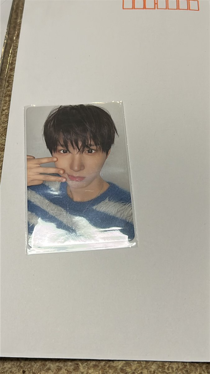 ぶたきのこ@こたぬき＆Stay＆Weflip tweet media