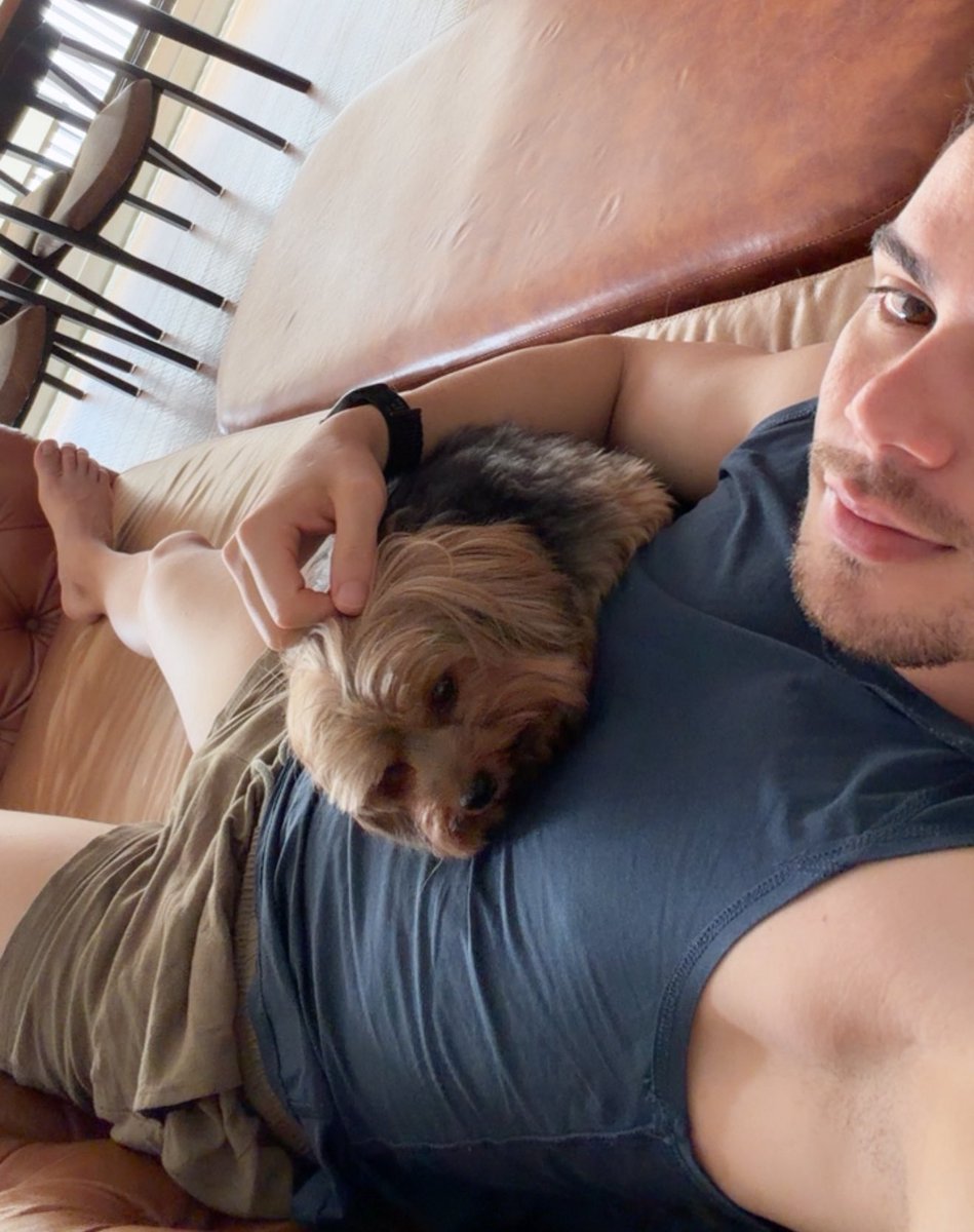 Diego Xavier tweet media