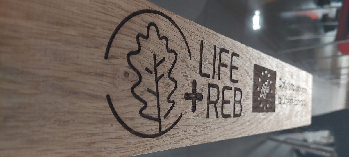jpicos13's tweet photo. La pasada semana participé en el #RebolloLAB de @selviaula  en #AVeiga que contó con una gran participación, e intervenciones, además de los técnicos de  @FCesefor  responsables del proyecto, de Froilán Sevilla y Mariano Torre y una visita a las parcelas gestionadas por #AMETLAM https://t.co/1U6JbWJBrw