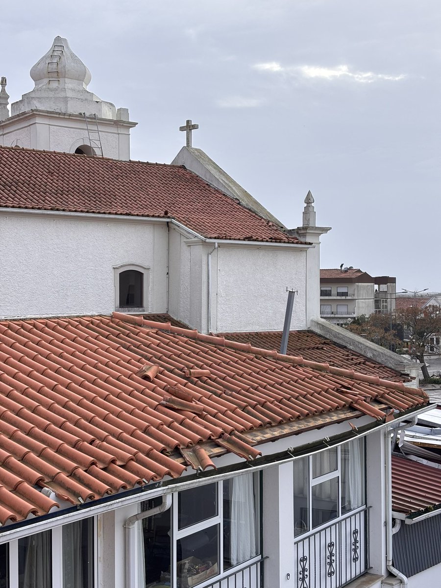 Carolina Bi-Dobrada Castaño tweet media