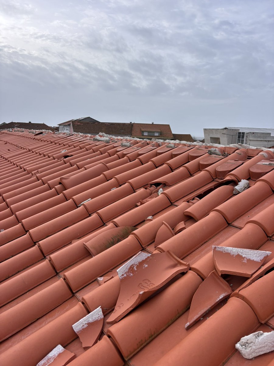 Carolina Bi-Dobrada Castaño tweet media