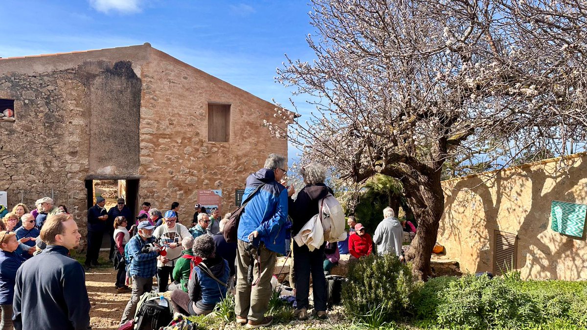 Editorial Moll tweet media