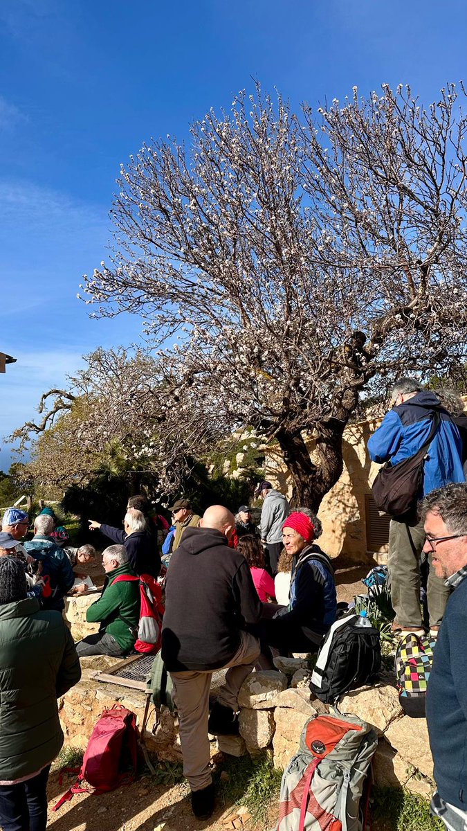 Editorial Moll tweet media