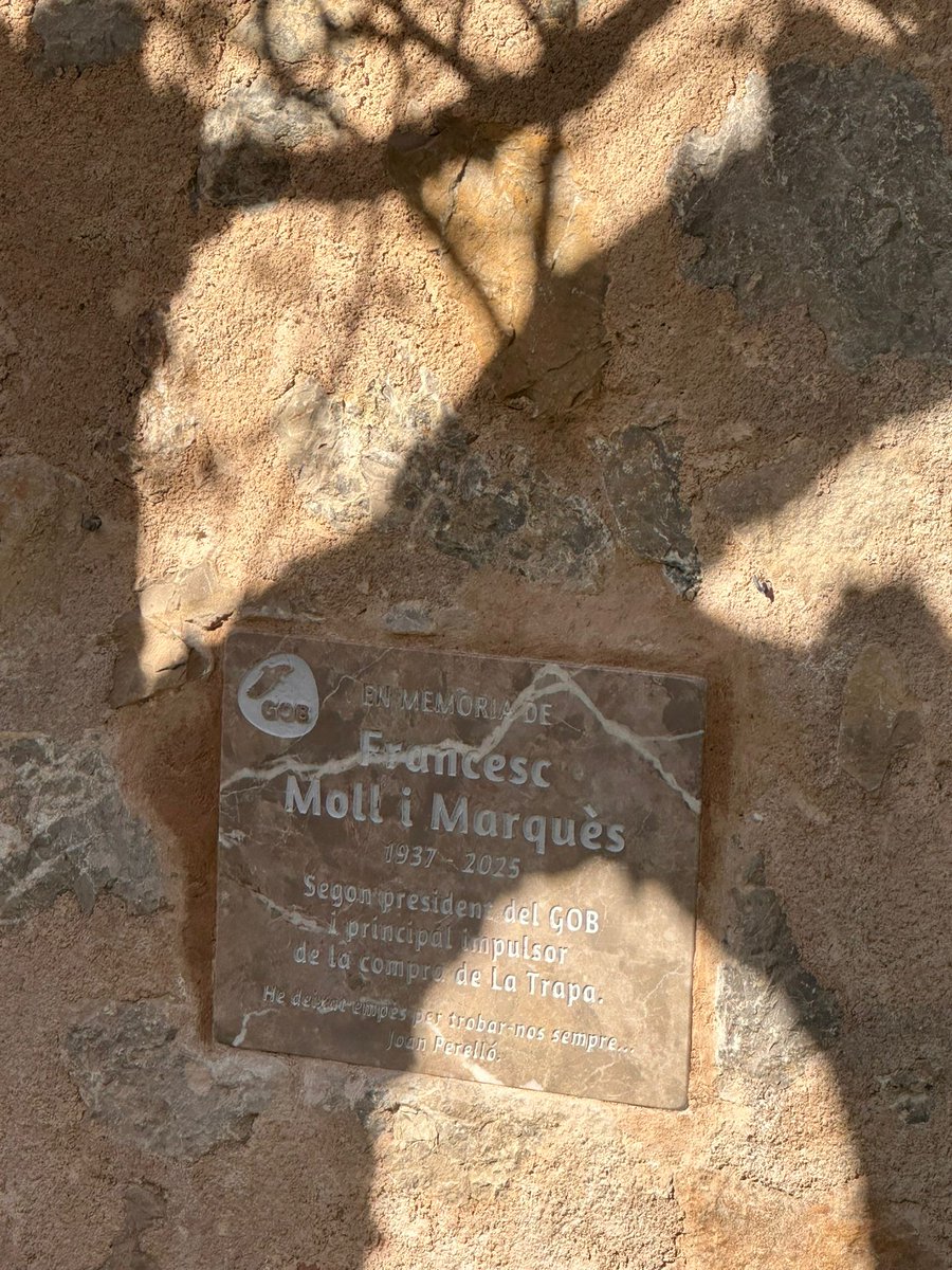 Editorial Moll tweet media