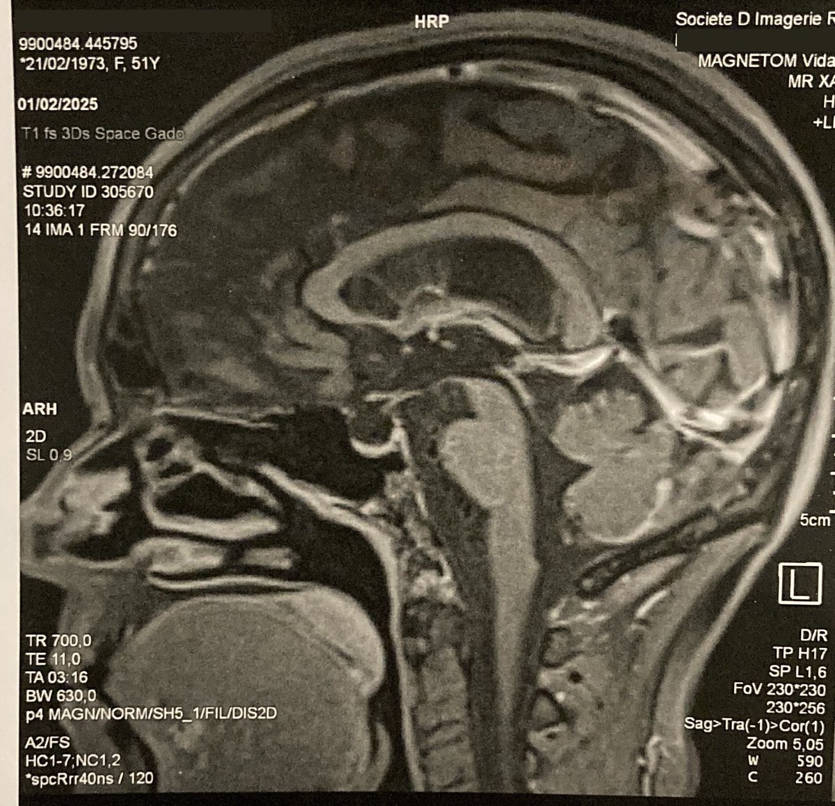 ChapiChapo tweet media