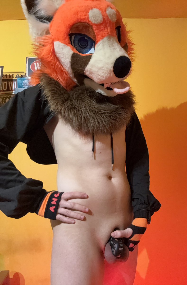 Wahtrowski tweet media