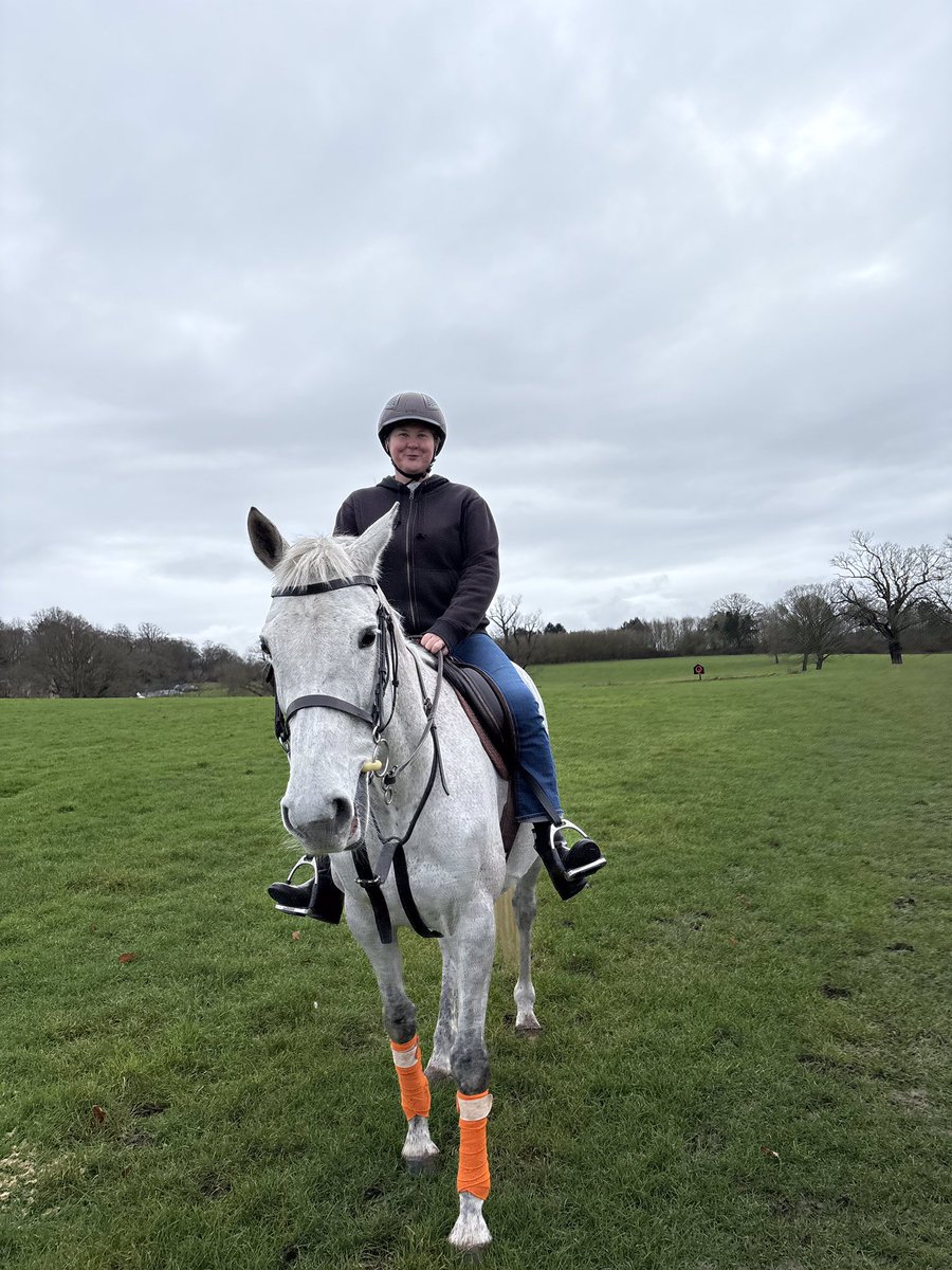 qmcdesign's tweet photo. #SpringFever #horselover #February1st https://t.co/d9Rj7ifMak
