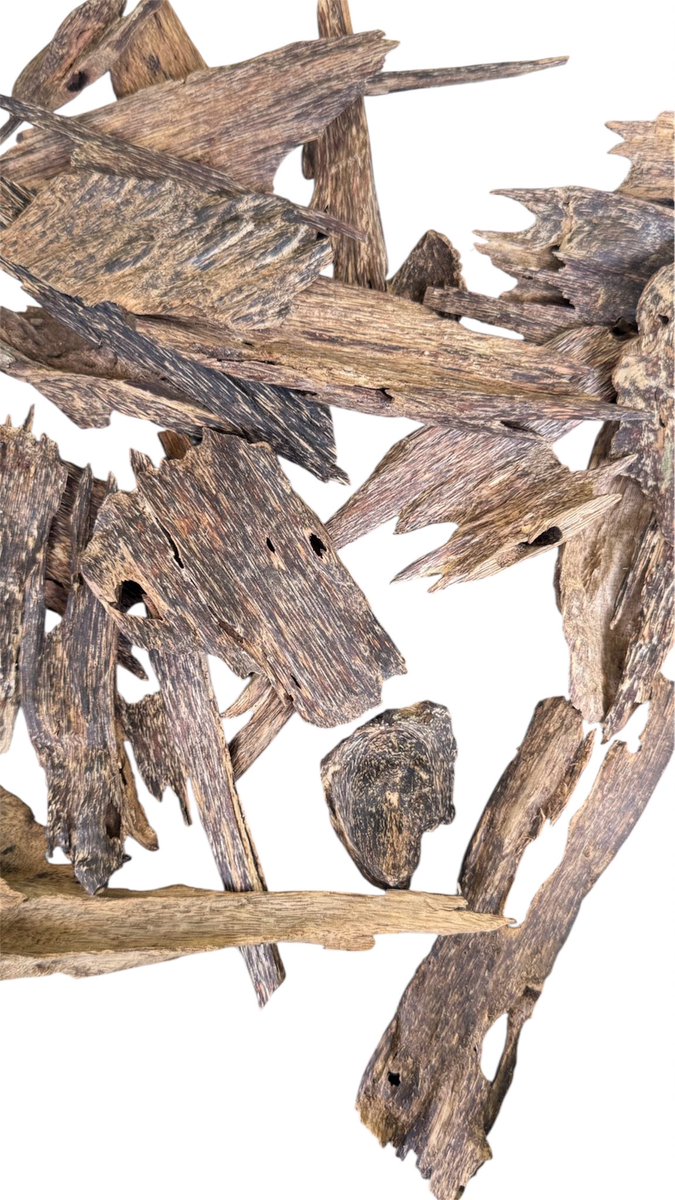 Nakhwattr's tweet photo. السومطري: عبق سومطرة. 🌿
عود طبيعي خالص من غابات إندونيسيا، يمزج في رائحته بين البرودة الخشبية ودفء الأصالة.
أخبرني، ما أول صفة تتبادر لذهنك مع هذه الرائحة؟ #عود_سومطري #بخور" https://t.co/YZdsUWnX9w