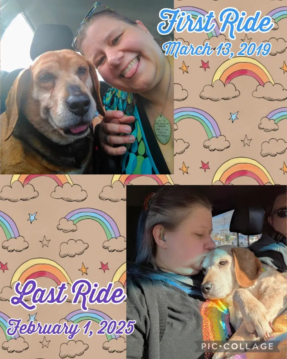 Kristin, The Normanator and 🌈 Friends tweet media