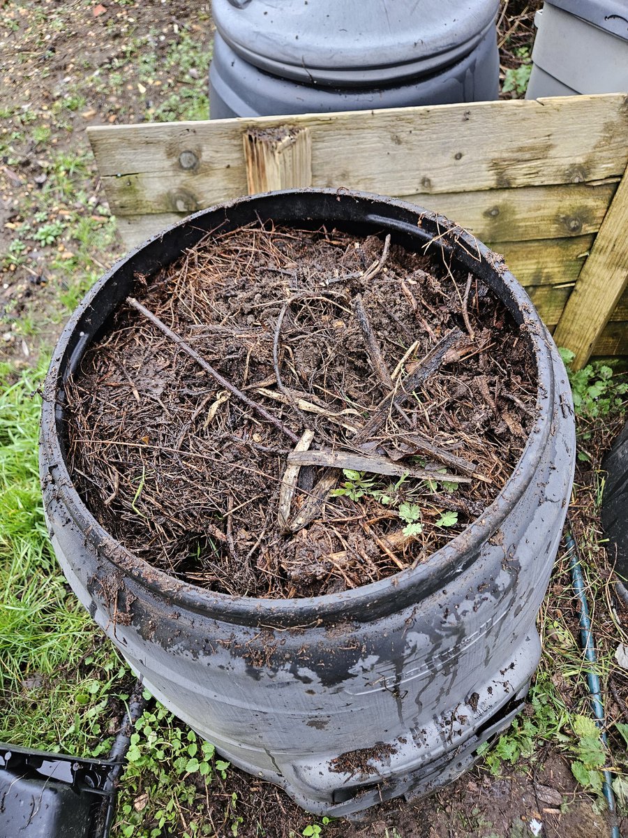 GrowingRogueUK's tweet photo. Winter Sunday job - empty the tonne bag of rotting brambles, plants, leaves into the two compost bins, and spread what's left when they're full on one of the beds. So many brambles, and this ADHD clown didn't go get the proper gloves... why do I do this to myself? 

#Allotment https://t.co/r73E7NMMo7