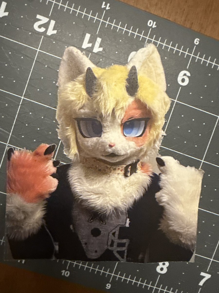 GOOOOOD MORNING Y'ALL - AFTER A ROUGH START OF THE YEAR IM DECIDING TO MOVE FORWARD 🐱🥂

i'll begin writing and mapping out the next video essays scripts: a comedic one, a depressing one, and a disturbing one - stay tuned! (unrelated irl astrei attached)