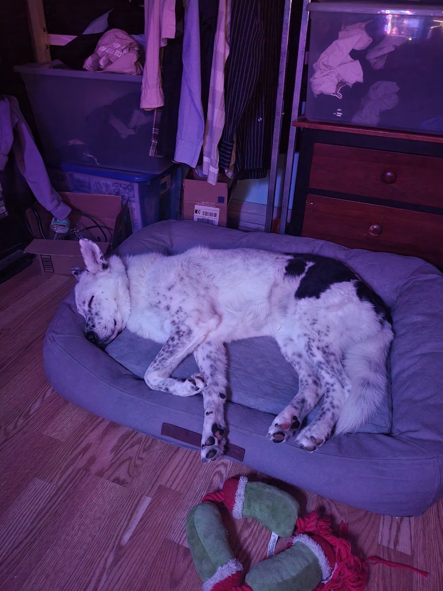 Do I stream tonight? But what game? 🤔