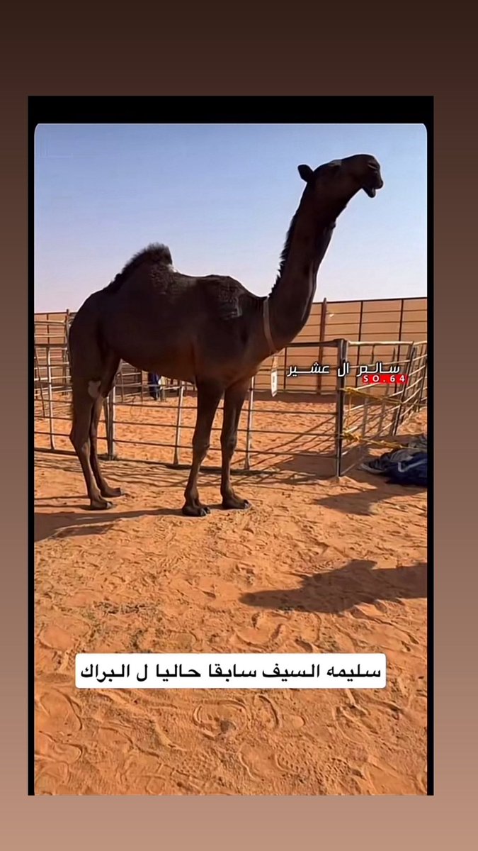 مع السلامه الله يطول عمرش 🤍