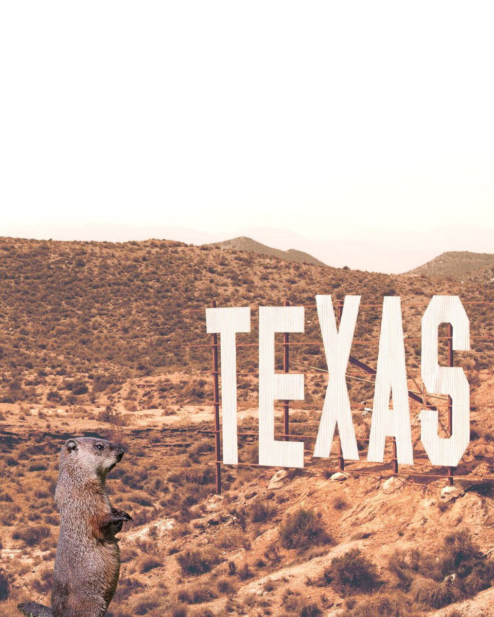 Hurricane Harbor Splashtown tweet media