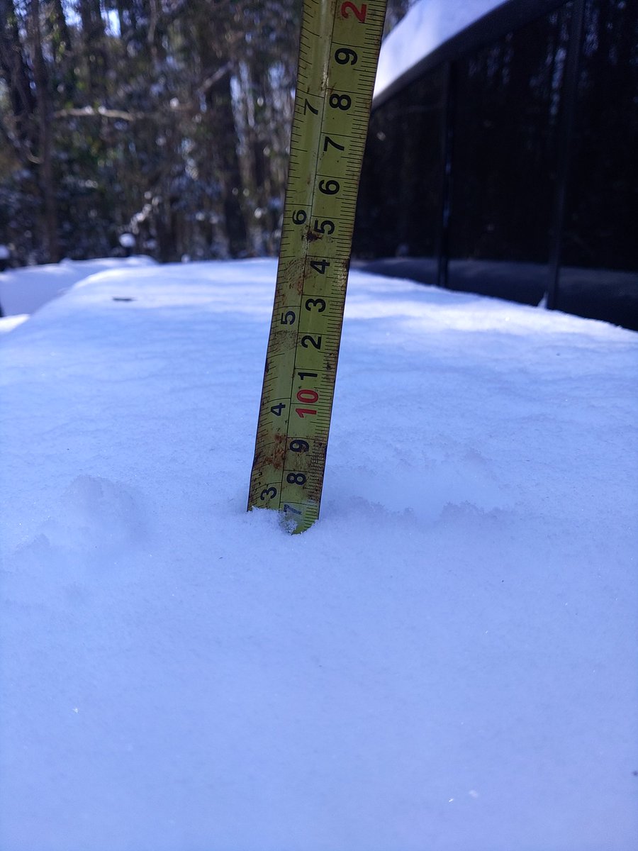 Lexie Horvath tweet media