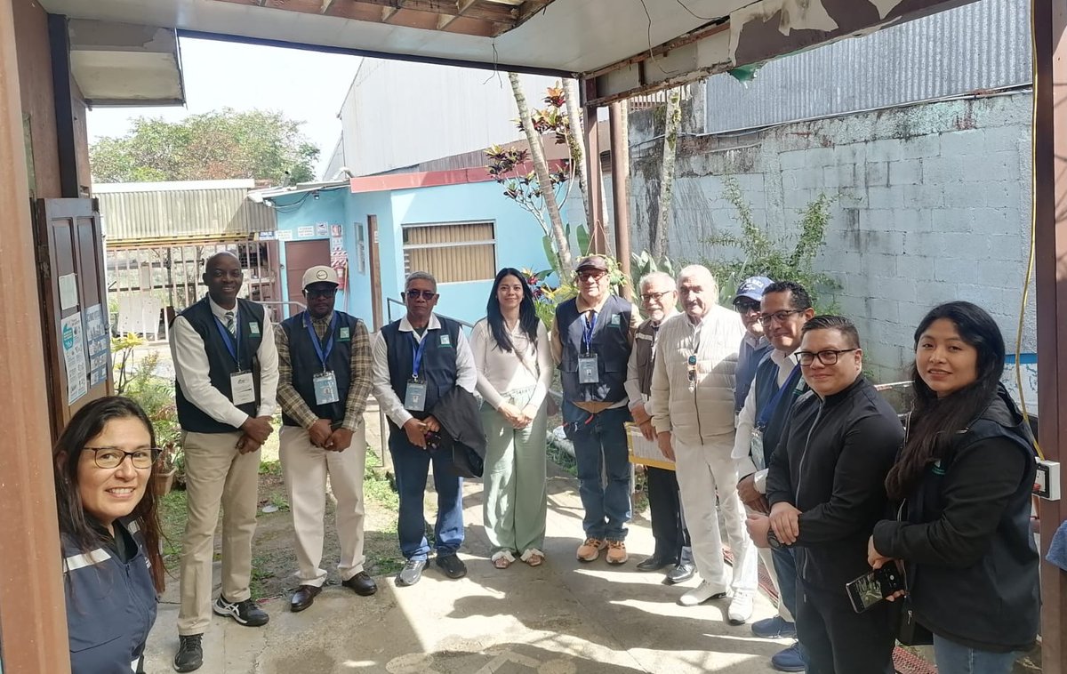 JNE Perú tweet media