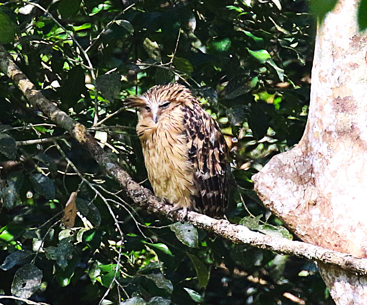 sean clancy tweet media