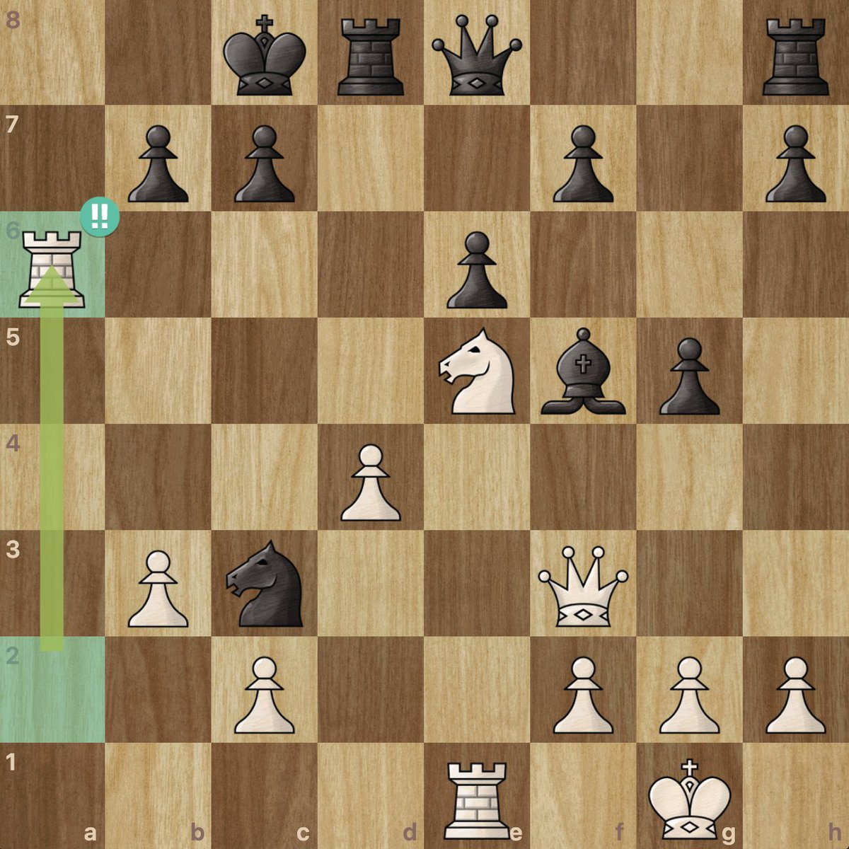 ♞♜ ‼️ 

Sunday activities.