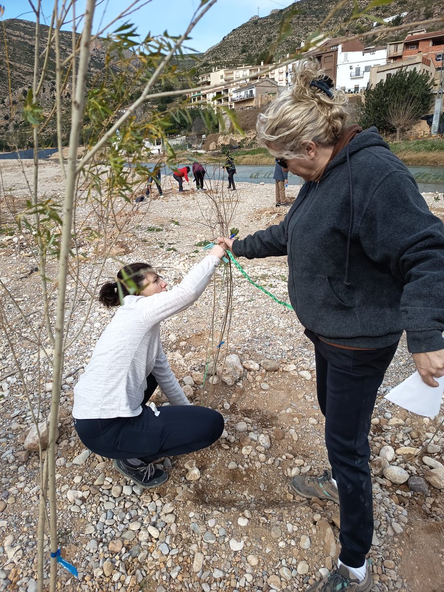FundLimne's tweet photo. El #ConveniTúria avança! 💚 Busquem la teua participació per a impulsar la biodiversitat del riu.
Hem estat a #Gestalgar plantant i escoltant la ciutadania.
La teua veu és clau!
Fes-te’n voluntari/a!

@CHJucar  #RiuTúria #VoluntariatAmbiental https://t.co/EBBSpa71C6