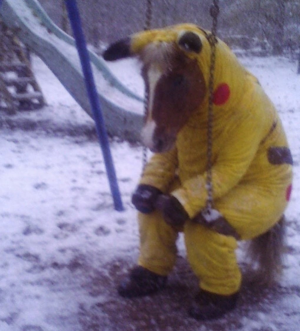 Fin (@attheblueseal) on Twitter photo 