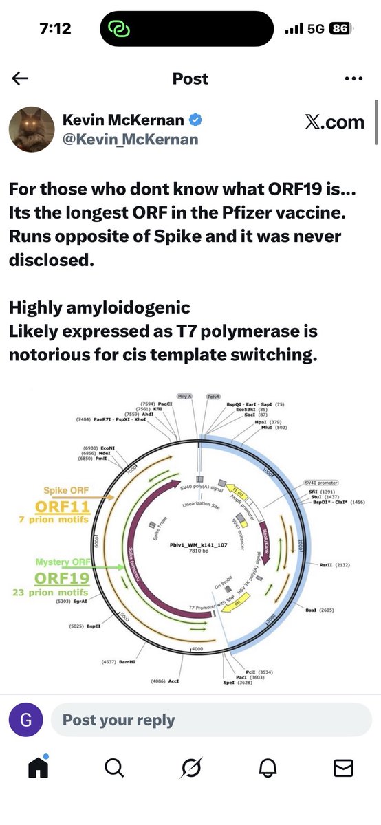 ☣️ Pleb Kruse = BTC foundationalist in exile 🟩🔆 tweet media