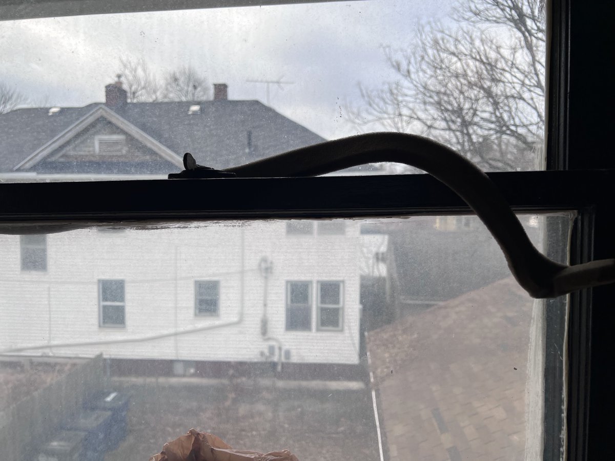 ccano7's tweet photo. @airbnb_es Ventanas con burletes rotos pasando frío bajo cero, pero vuestra respuesta es que "pasaron las 72h" y que mi queja sobre la anfitriona "no me compete". Es vergonzoso que amparéis el doble cobro y la falta de higiene. ¿Esta es vuestra "hospitalidad"? #Airbnb #Fail (2/2) https://t.co/pOaDPH2eAS