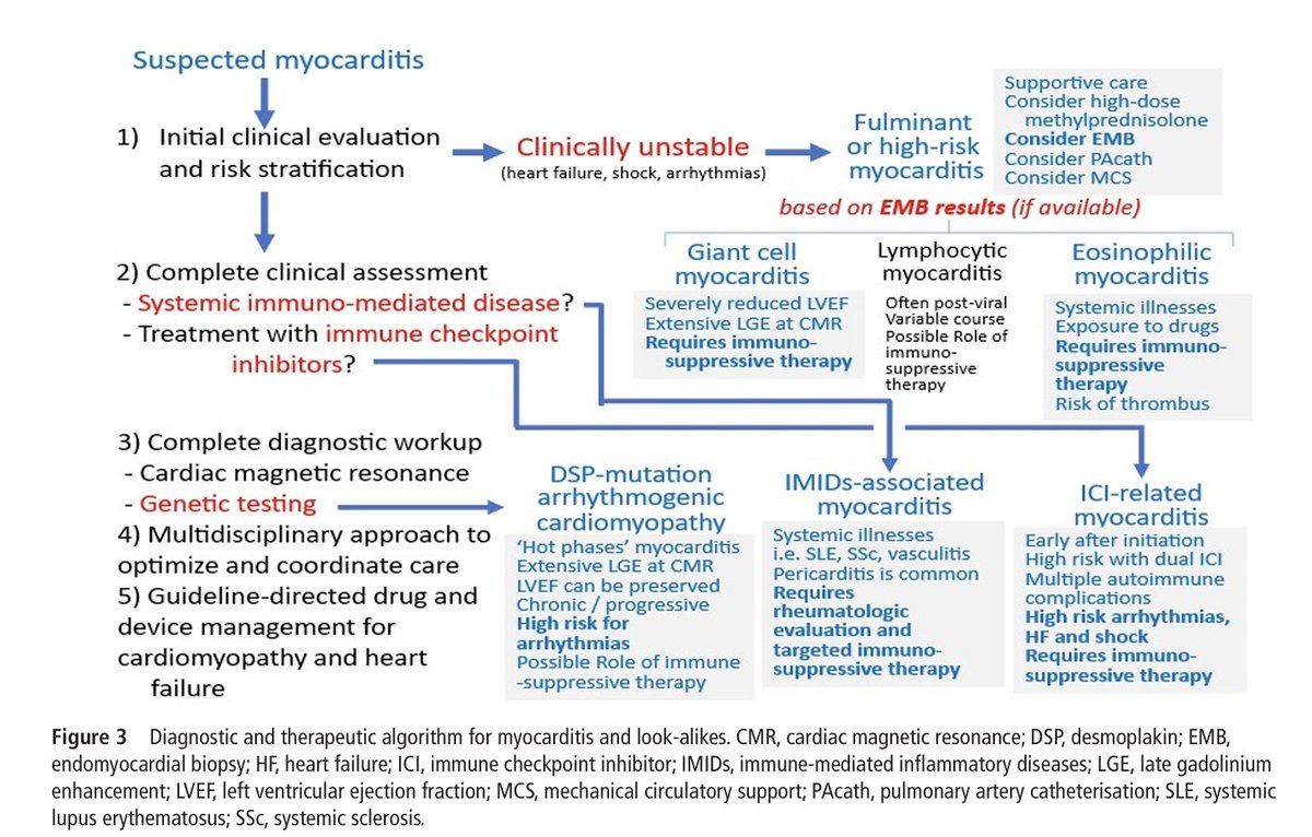 Edgardo Alania tweet media