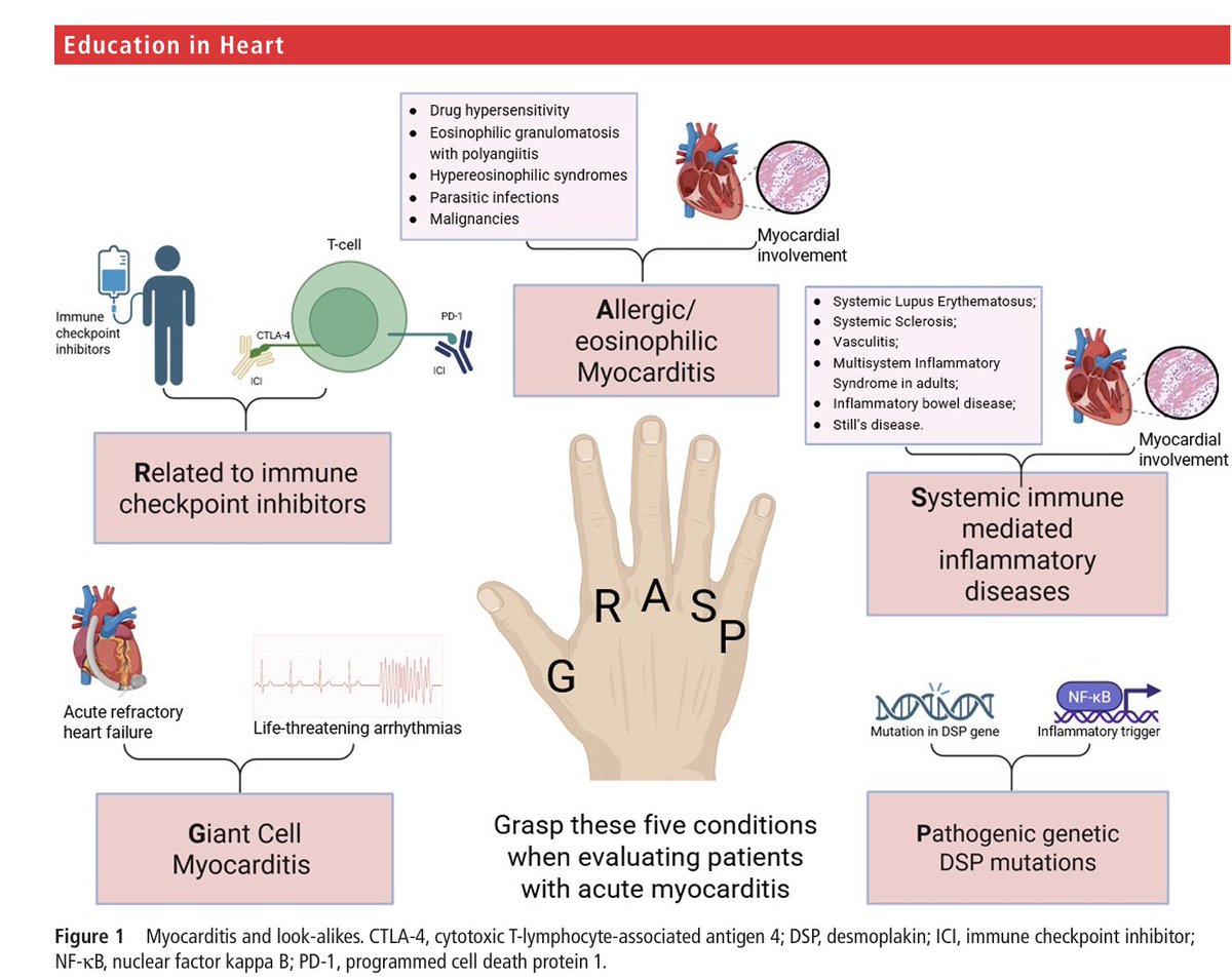 Edgardo Alania tweet media