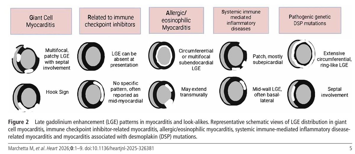 Edgardo Alania tweet media